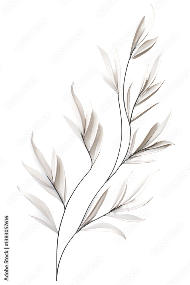 Obraz premium feather on white background