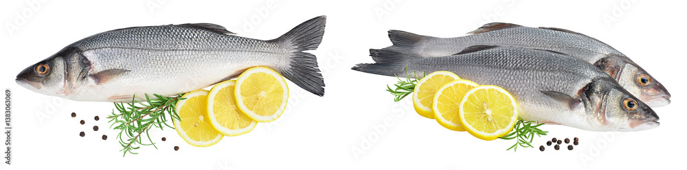 Fototapeta premium Sea bass fich isolated on white background with full depth of field. Top view. Flat lay