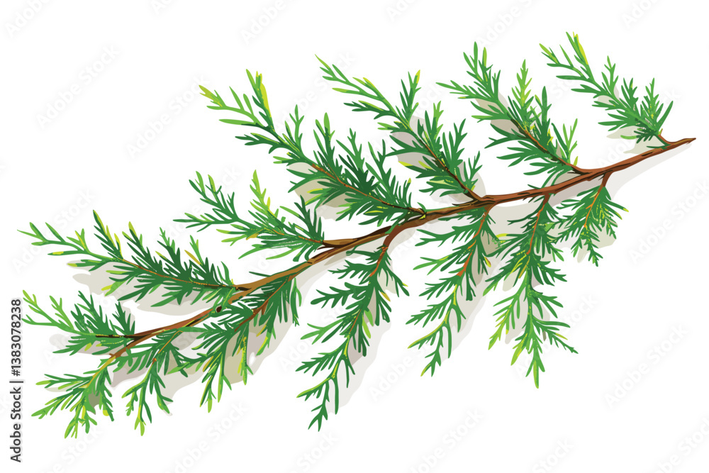 Fototapeta premium Christmas green framework isolated on white background