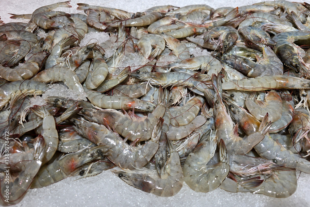 Fresh Raw Shrimps on Ice at Grocery Store Fresh Raw Shrimps on Ice at Grocery Store