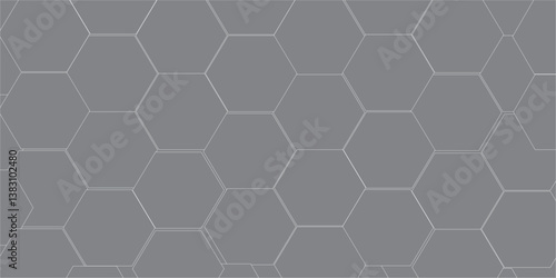Abstract emboss gray Hexagonal Background. Luxury White Pattern. Futuristic abstract honeycomb mosaic white background. geometric mesh   Vector Futuristic minimal honeycomb mosaic white background