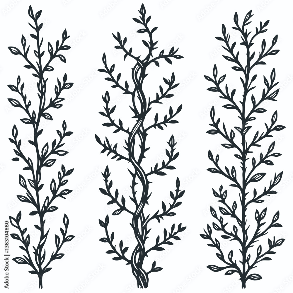 Set of twigs, branches of leaves. Seamless doodle floral pattern. Hand drawn Botanical drawing. Detailed line art of twigs and thorns vine illustration. Outline Simple Stylized Art Set of twigs, branches of leaves. Seamless doodle floral pattern. Hand drawn Botanical drawing. Detailed line art of twigs and thorns vine illustration. Outline Simple Stylized Art