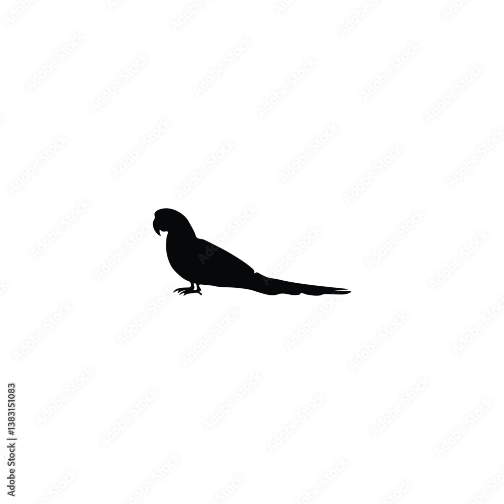 Obraz premium Bird silhouette