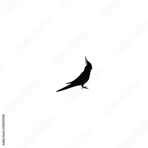 Bird silhouette