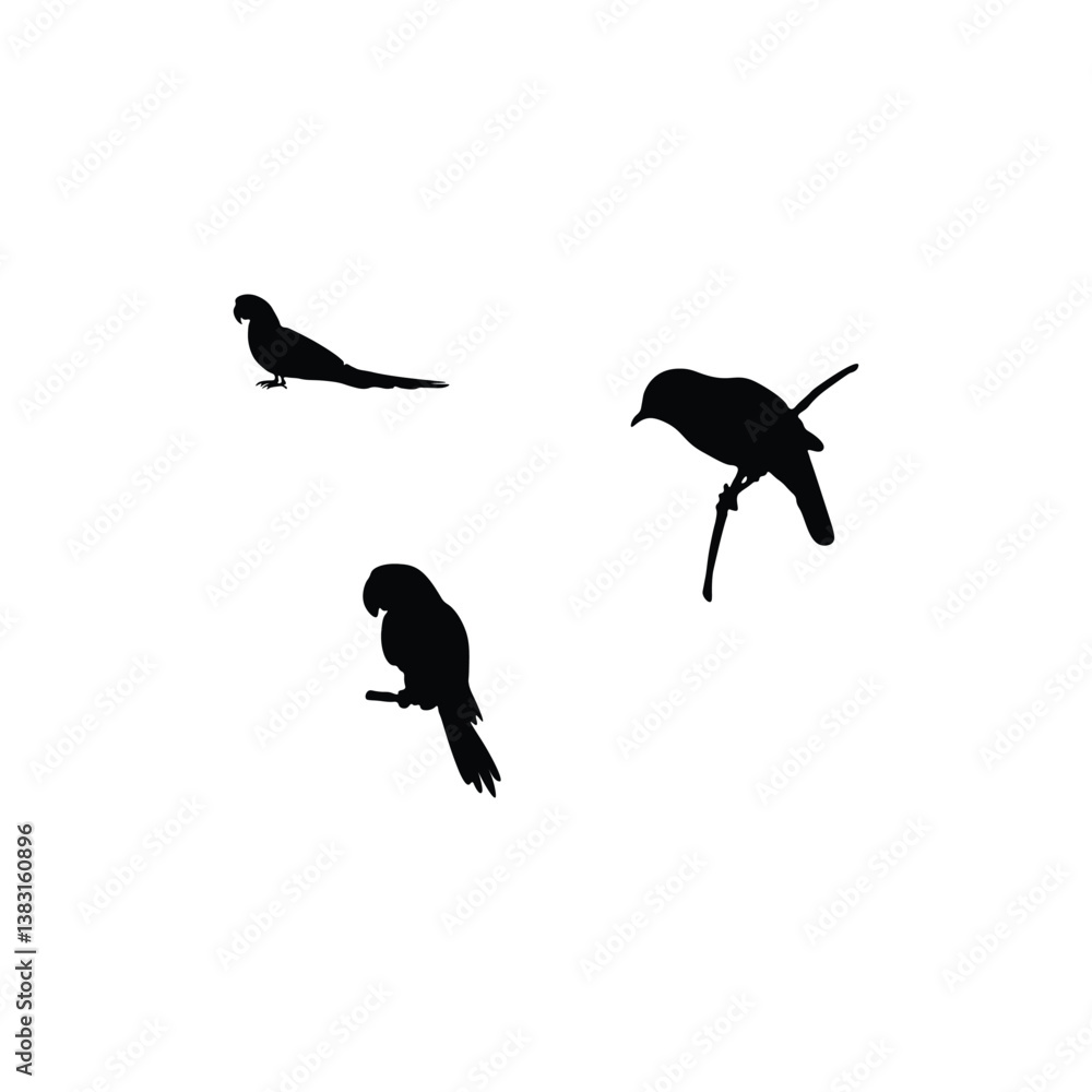 Obraz premium Bird silhouette