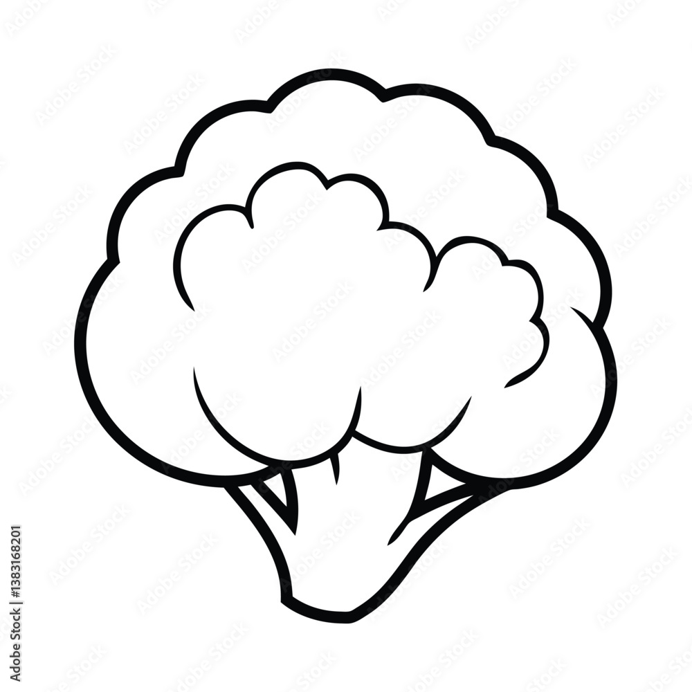 vector illustration of a cauliflower vector illustration of a cauliflower