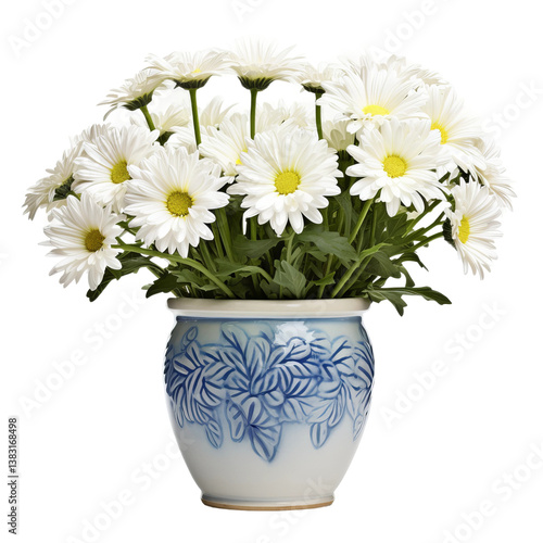 Wallpaper Mural daisies in a pot isolated on white Torontodigital.ca
