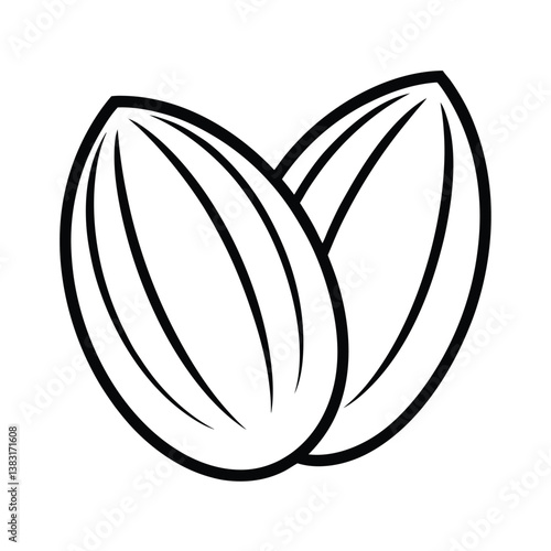 vector illustration of a almonds