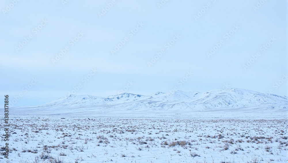 Desolate tundra landscape with snow covered plains under a cold blue overcast sky Emphasis on barren harsh environment Desolate tundra landscape with snow covered plains under a cold blue overcast sky Emphasis on barren harsh environment