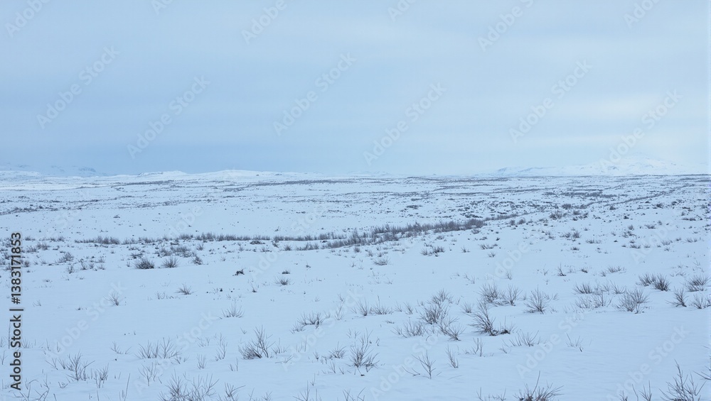 Fototapeta premium Desolate tundra landscape with snow covered plains under a cold blue overcast sky Emphasis on barren harsh environment