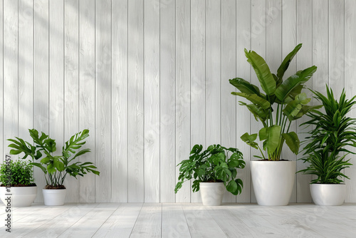 Minimalist interior with green plants in white pots against light wooden wall, creating serene and fresh atmosphere. Perfect for modern decor enthusiasts