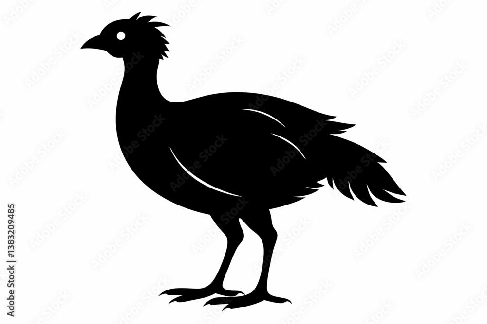 Obraz premium Columbidae silhouette black vector