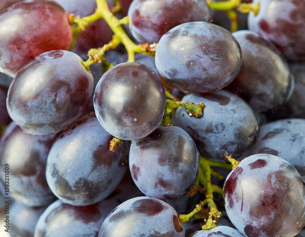 Fototapeta premium Vibrant Purple Grape Cluster Floating Freely with Plump Rounds and Glossy Skin