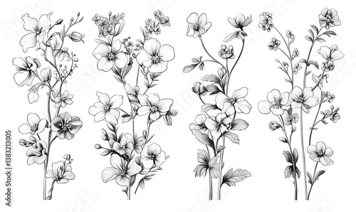 Floral flower vector Illustrations on white background