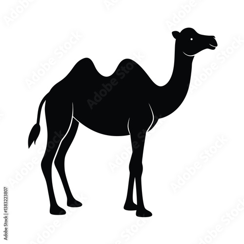 camel in the desert