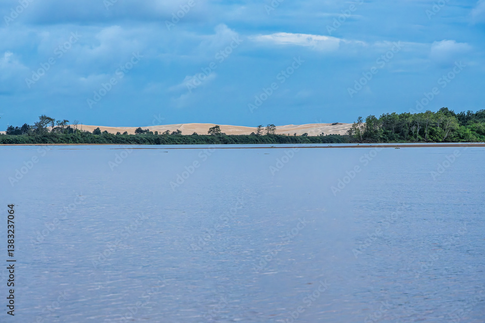 Boat trip on the Igarape do Urubu River, Delta das Americas to Ilha das Canarias, Brazil. South America