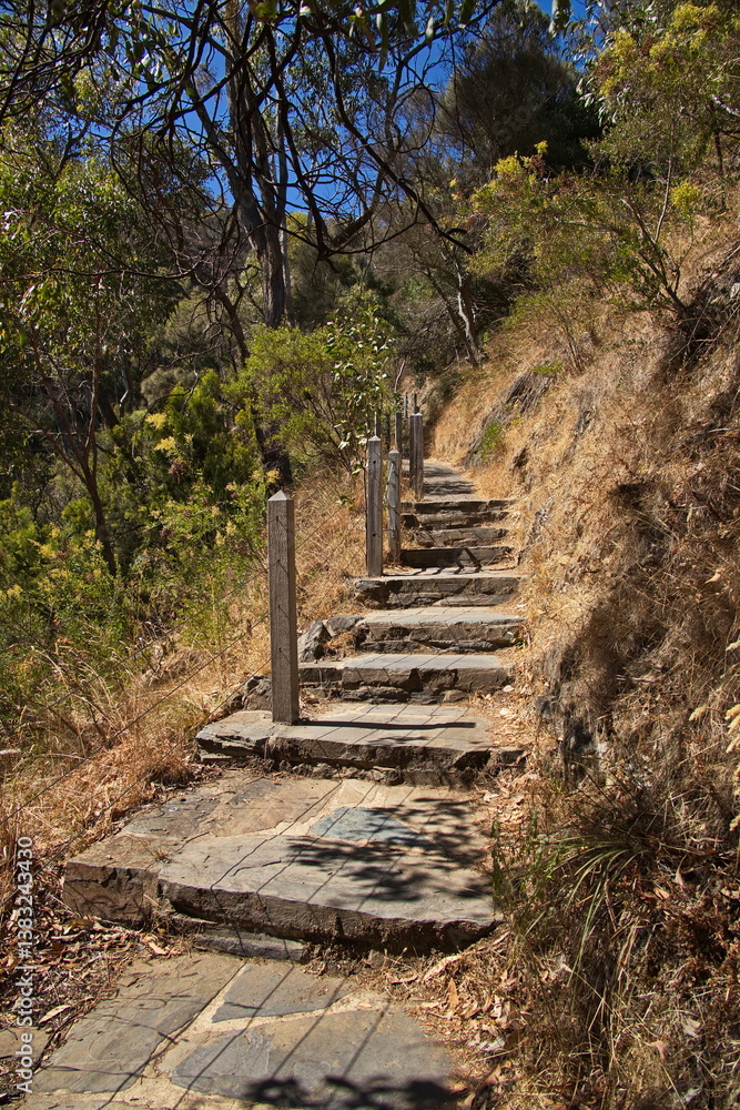 Hiking track in Waterfall Gully in Adelaide Hills at Adelaide, South Australia, Australia
Hiking track in Waterfall Gully in Adelaide Hills at Adelaide, South Australia, Australia