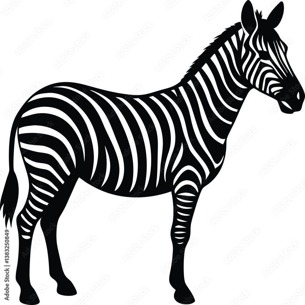 Fototapeta premium zebra vector illustration