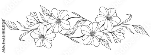 Flower outline on transparent background vector. floral, flowers, leaves, foliage, branches in hand drawn. Floral element design