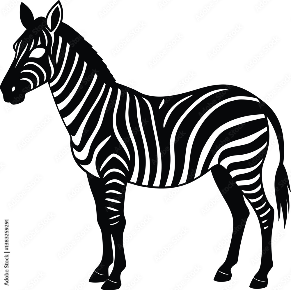 Fototapeta premium zebra vector illustration