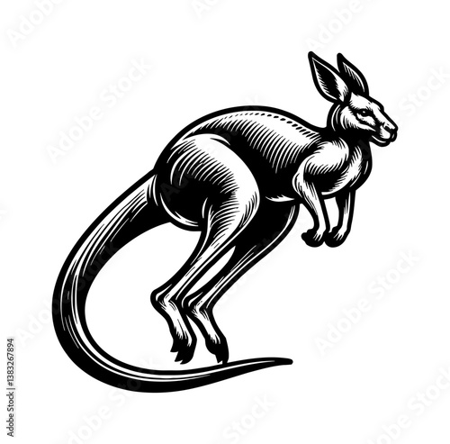 Black and white drawing of a kangaroo jumping with detailed line art on white backdrop