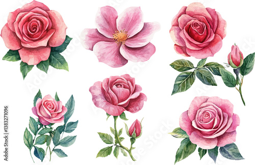 Hand-Painted Watercolor Pink Rose Clipart