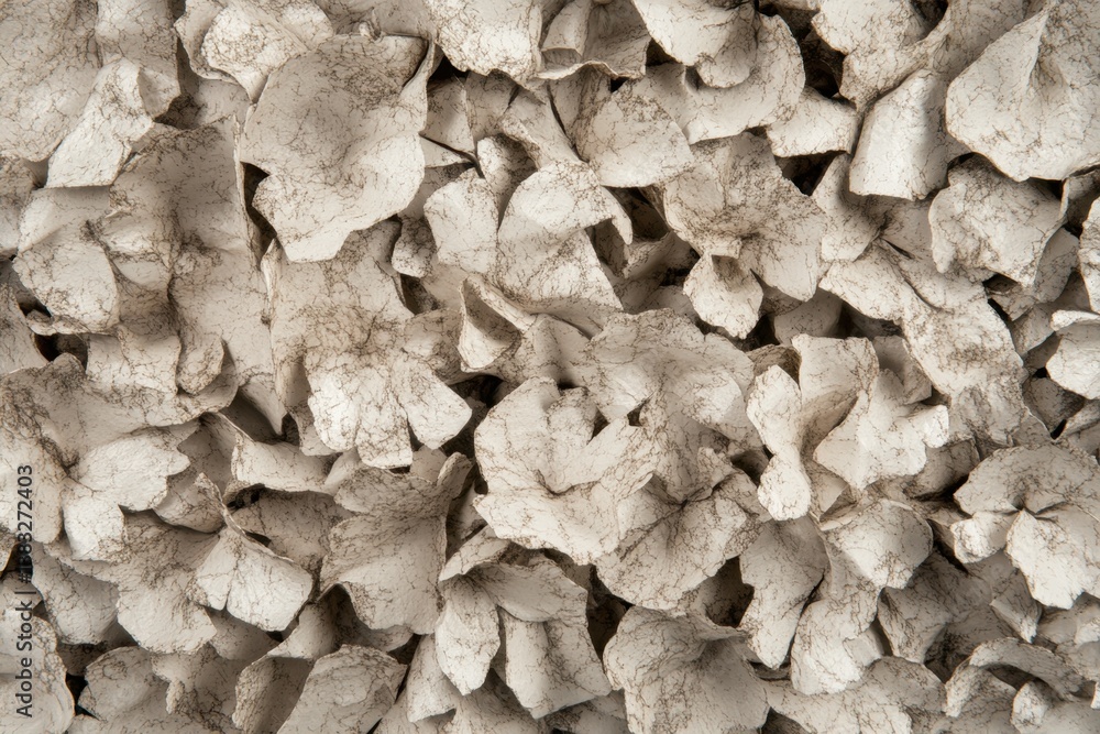 Dried Mud Texture Dried Mud Texture
