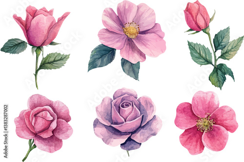 Wallpaper Mural Beautiful Watercolor Pink Rose Clipart Torontodigital.ca