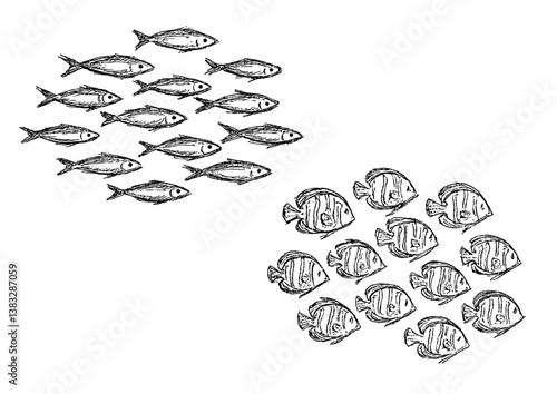 鉛筆で書いたような魚の群れのイラスト