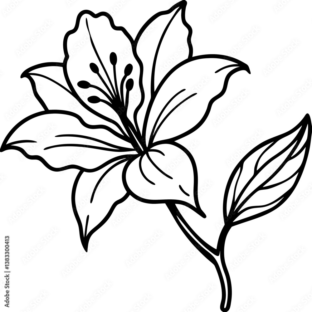 Fototapeta premium black and white flowers