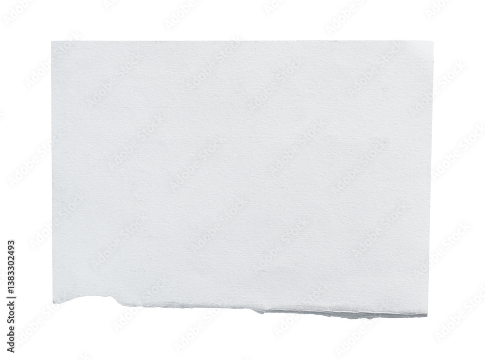 custom made wallpaper toronto digitalWhite ripped piece of paper isolated on transparent background PNG file