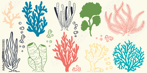 Flat outline seaweed and coral. Abstract organic shape, underwater plant, Matisse element, cute sea drawing. Cartoon sea floral set. Trendy minimal vector set.