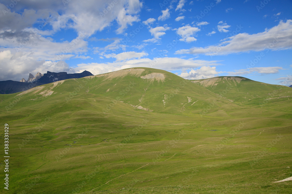 Les pelouses du Plateau d'Emparis et les Aiguilles d'Arves. Oisans. Isère et Hautes-Alpes. Alpes Les pelouses du Plateau d'Emparis et les Aiguilles d'Arves. Oisans. Isère et Hautes-Alpes. Alpes