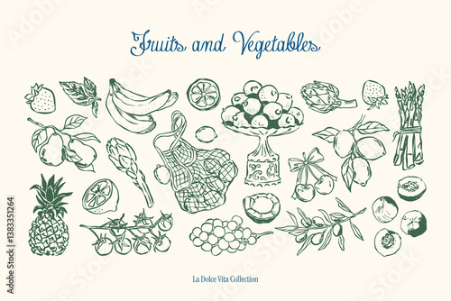Fruit and vegetables sketch-style illustration collection. Matisse style doodles