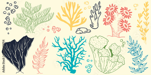 Flat outline seaweed and coral. Abstract organic shape, underwater plant, Matisse element, cute sea drawing. Cartoon sea floral set. Trendy minimal vector set.