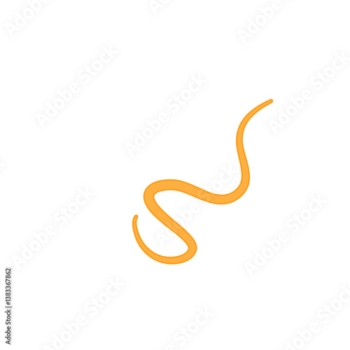 Ascaris Lumbricoides Human Worm Parasite