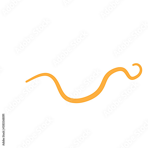 Ascaris Lumbricoides Human Worm Parasite