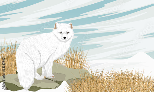 Arctic fox standing on a rock on a snowy northern plain. Realistic vector landscape
