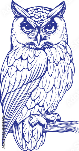 owl, bird, animal, nature, wildlife, beak, white, wild, feather, predator, brown, eye