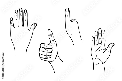Vector monochrome human hand simple line art illustration set painted by black inks. Palm and back view of hand, finger giving thumbs up. Body part etching drawing for presentation, advertising