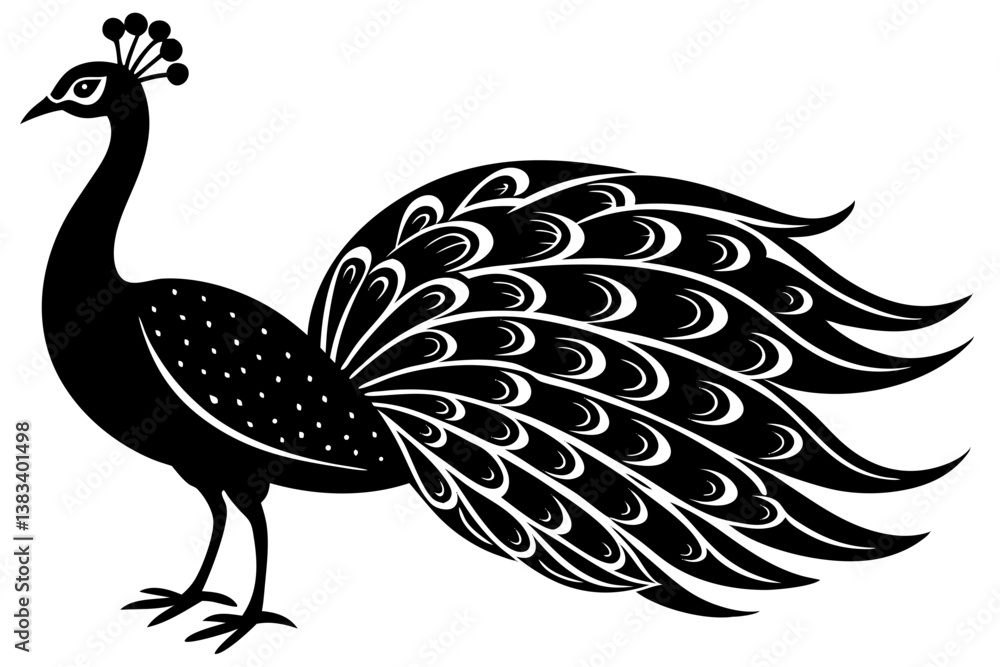 Fototapeta premium peacock isolated on white