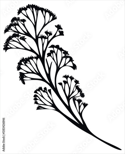 Wild Flower silhouette Vector Image Isolated On White Background