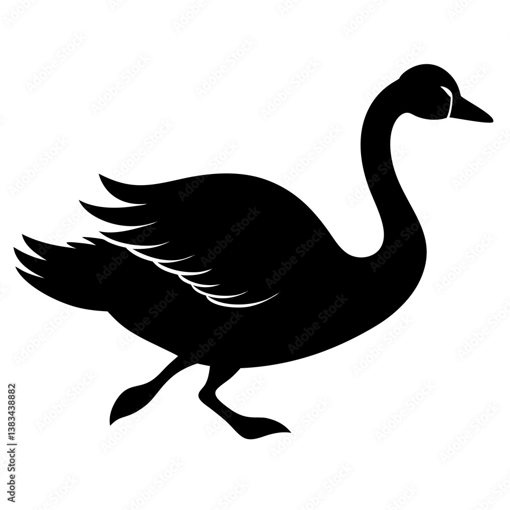 Obraz premium black and white swan