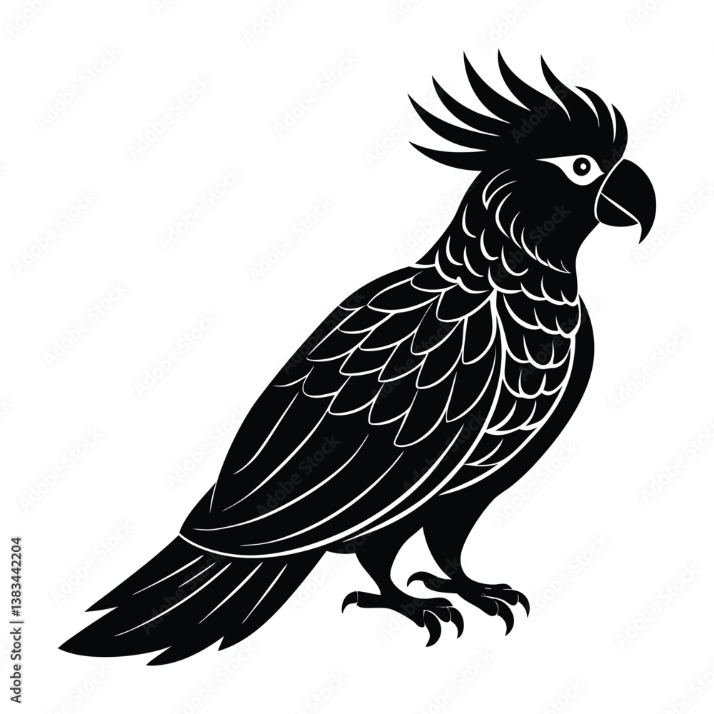 Fototapeta premium vector black silhouette of a cockatoo parrot.