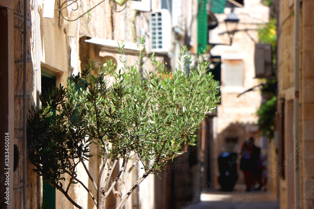 Picturesque Mediterranean street and traditional architectural details in Trogir, Croatia.