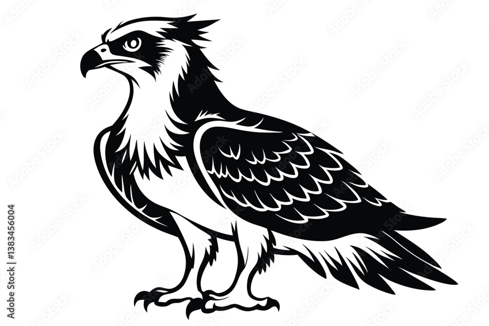 Fototapeta premium Osprey Stencil Silhouette with Detailed Feathers