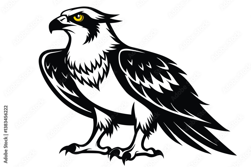 Fototapeta premium Detailed Black and White Eagle Mascot with Sharp Talons on White Background