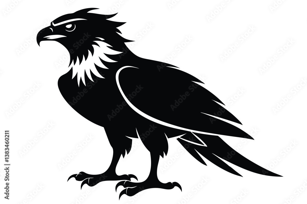 Obraz premium Detailed Black Eagle