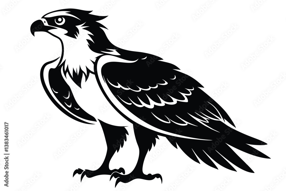Obraz premium Striking Osprey Art in Black and White with Bold Feather and Claw Details