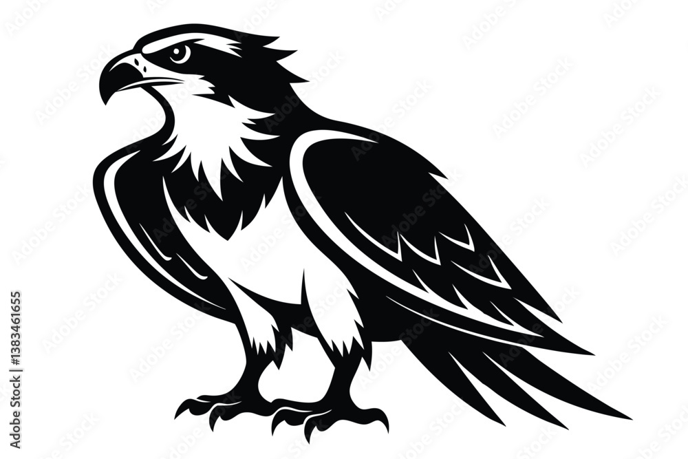 Fototapeta premium Black and White Full Eagle With Sharp Details on a White Background